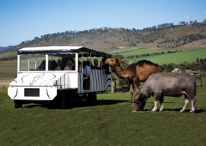 Zoo Doo Wildlife Park - Kawana Tourism 2