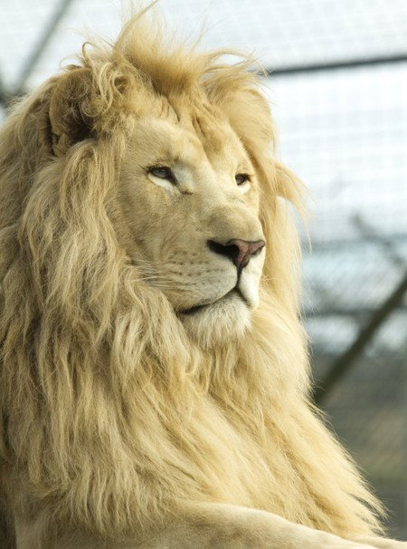 Zoo Doo Wildlife Park - Kawana Tourism 3