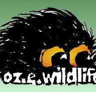 OZe Wildlife - Kawana Tourism