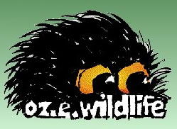 OZe Wildlife - Kawana Tourism 0