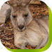 Abbotsbury NSW Kawana Tourism
