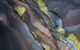 ArtSpace Mackay - thumb 1