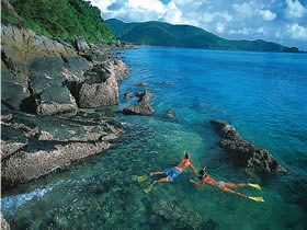 Llewellyn Dive Site - Kawana Tourism 0