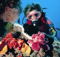 Gold Coast Seaway Dive Site - Kawana Tourism