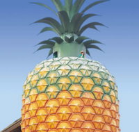 The Big Pineapple - Kawana Tourism