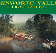 Glenworth Valley Horseriding - Kawana Tourism