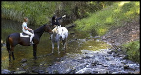 Glenworth Valley Horseriding - Kawana Tourism 1