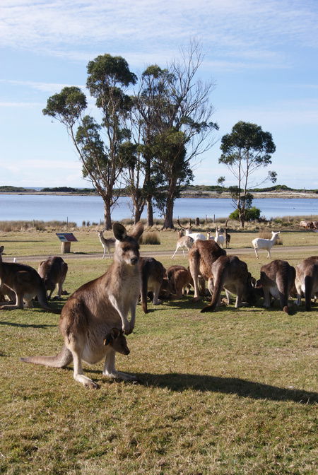 East Coast Natureworld - Kawana Tourism 1