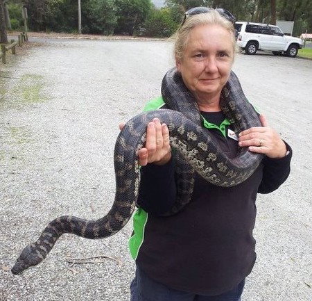 Gumbuya Park - Kawana Tourism 2