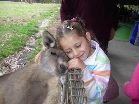 Gumbuya Park - Kawana Tourism 3