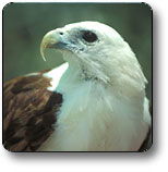 Kakadu National Park - Kawana Tourism 0