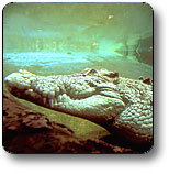 Kakadu National Park - Kawana Tourism 1