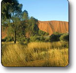 Uluru - Kata Tjuta National Park - Kawana Tourism