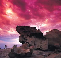 Kangaroo Island Adventure Tour 2 day/1 night - Kawana Tourism