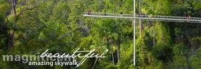 Rainforest Skywalk - Kawana Tourism 2