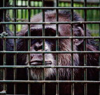 Rockhampton Zoo - Kawana Tourism