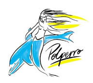 Polperro Dolphin Swims - Kawana Tourism 0