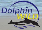 Dolphin Wild - Kawana Tourism 0