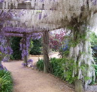 Abingdon Miniature Village - Kawana Tourism