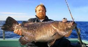 Bravo Fishing Charters - Kawana Tourism 0