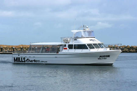 Mills Charters Fishing And Whale Watch Cruises - Kawana Tourism 1