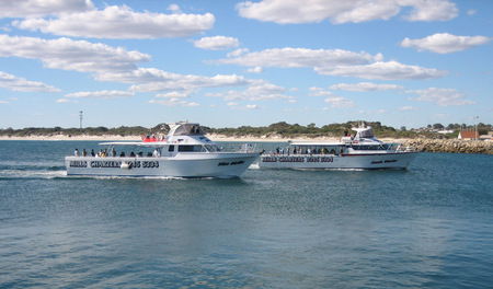 Mills Charters Fishing And Whale Watch Cruises - Kawana Tourism 2