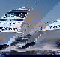 Sunshine Coast Fishing Charters - Kawana Tourism