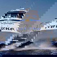 Sunshine Coast Fishing Charters - Kawana Tourism 0