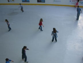 Liverpool Catholic Club Rink - Kawana Tourism 3