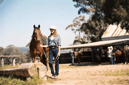 Watsons Trail Rides - Kawana Tourism 0