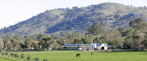 Blue Gum Farm - Kawana Tourism 1