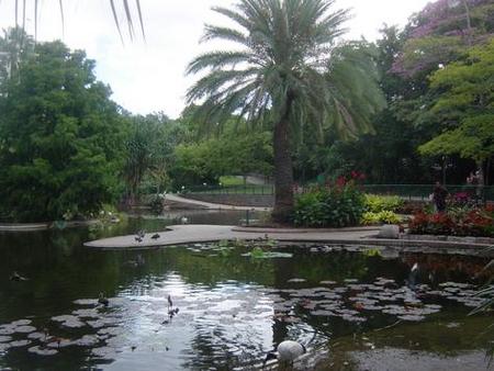 Brisbane City Botanic Gardens - Kawana Tourism 0
