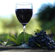 Lion Mill Vineyards - Kawana Tourism