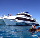 Silver Swift - Kawana Tourism