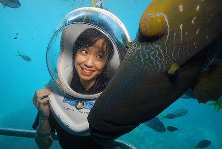 Sunlover Reef Cruises - Kawana Tourism 0