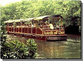 Daintree Rainforest River Trains - Kawana Tourism 0