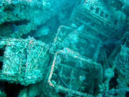 Underwater Sports Diving Centre - Kawana Tourism 0