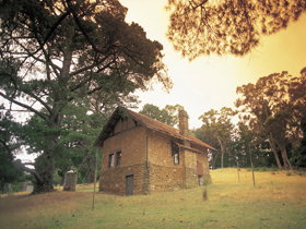 Heysen - The Cedars - Kawana Tourism 0