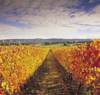 Link Tours - Kawana Tourism