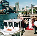 Bay  River Cruises - Kawana Tourism