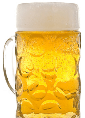 Duckstein Brewery - Kawana Tourism 4