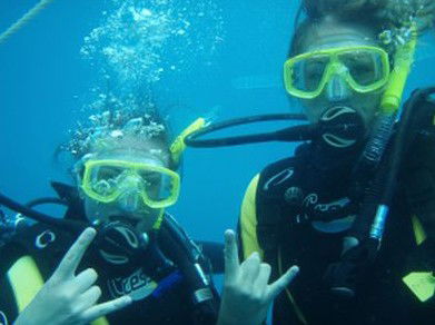 Snorkel Safari Brisbane - Kawana Tourism 5