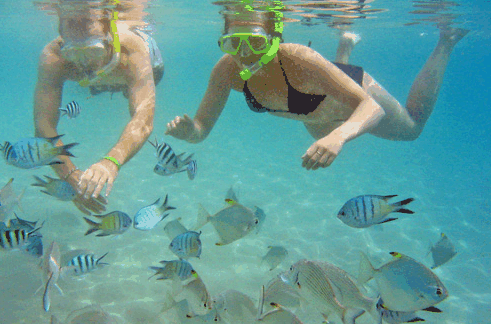 Australian Kayaking Adventures - Kawana Tourism 2