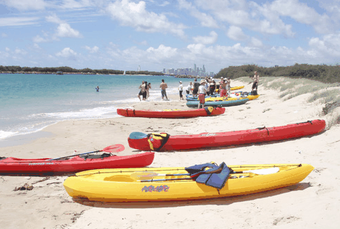 Australian Kayaking Adventures - Kawana Tourism 3