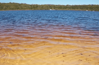 Beach Trekkers North Stradbroke Island - Kawana Tourism 1