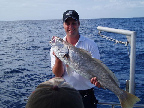 Blue Juice Charters - Kawana Tourism 1