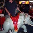 Twin Cities Tenpin Bowl - Kawana Tourism 3