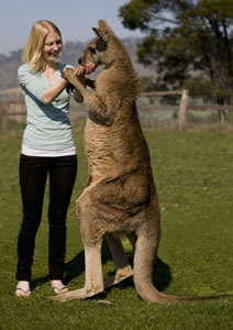 Zoo Doo Wildlife Park - Kawana Tourism 5