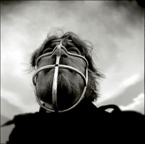 Australian Centre For Photography - Kawana Tourism 3