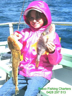 Bravo Fishing Charters - Kawana Tourism 5
